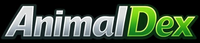 AnimalDex
