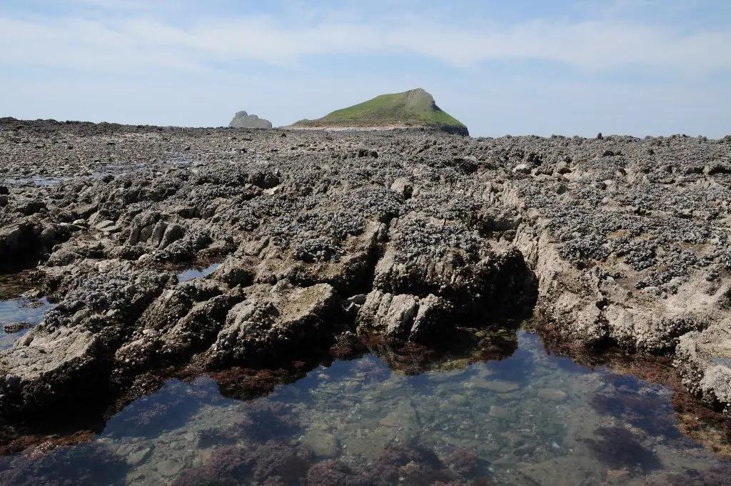 A rock pool on a rocky shore at low tide