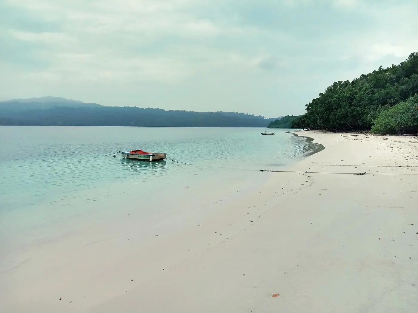 Beach and forest edge on Peucang island, Ujung Kulon National Park, Banten