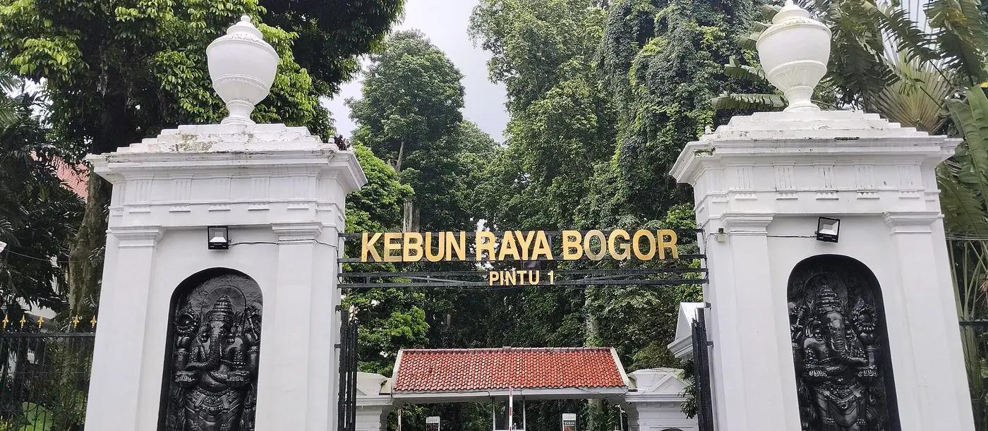 Large flying foxes roosting in the trees of Bogor Botanical Gardens
