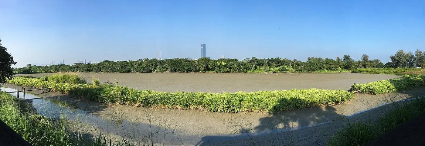 Wintering waterbirds over the Mai Po marshes and Deep Bay mudflats, Hong Kong