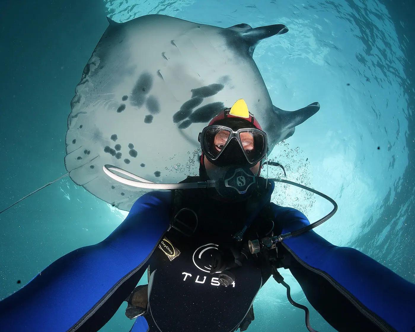 A reef manta ray at Manta Point, Nusa Penida