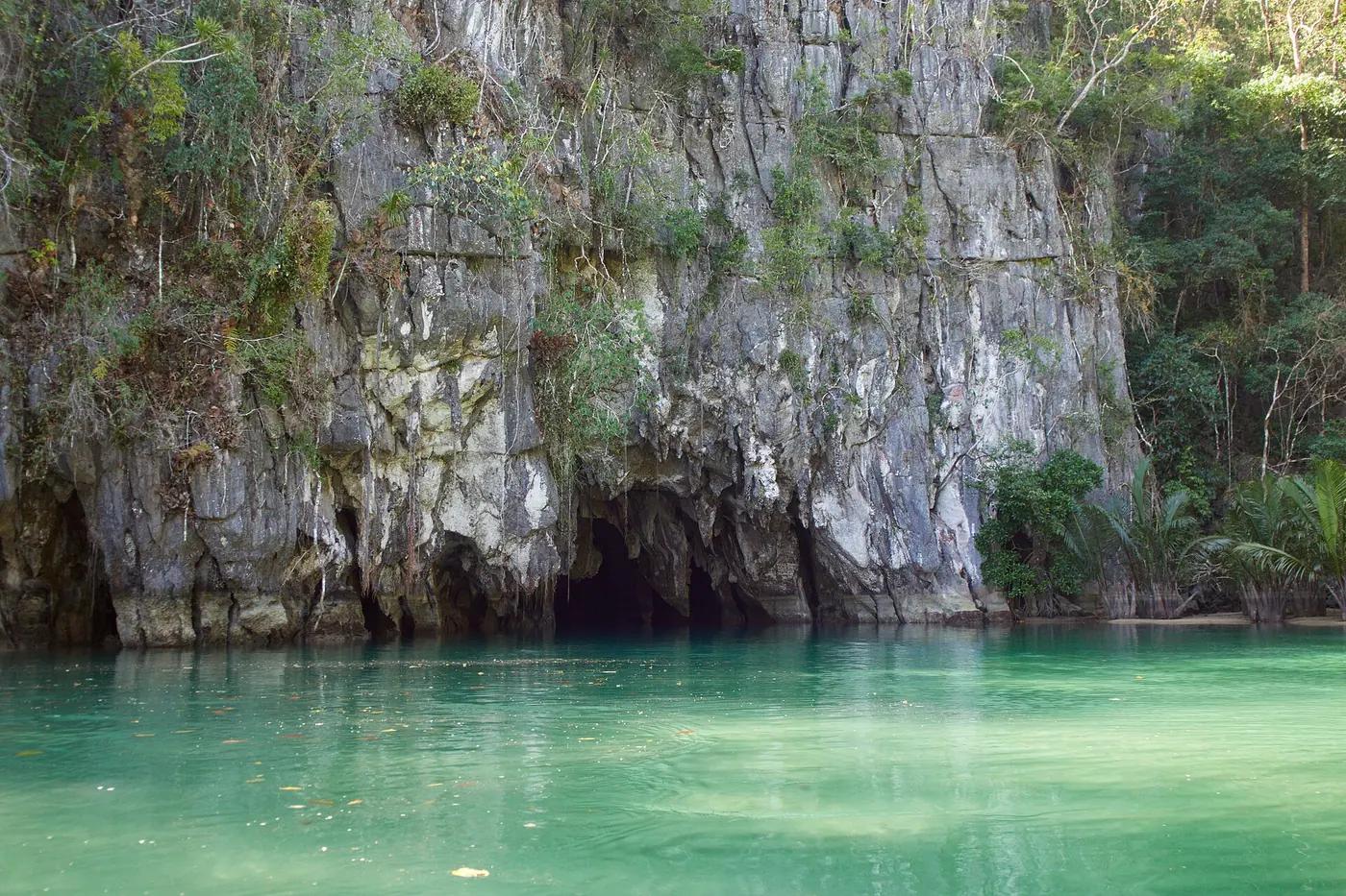 A water monitor on Sabang beach at the Puerto Princesa underground river, Palawan