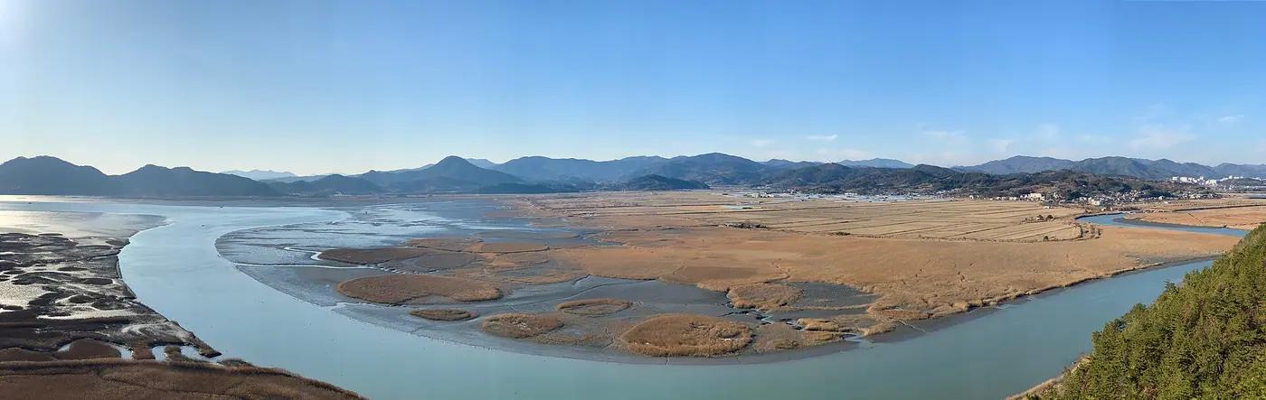 The Suncheon Bay reed wetland, South Korea