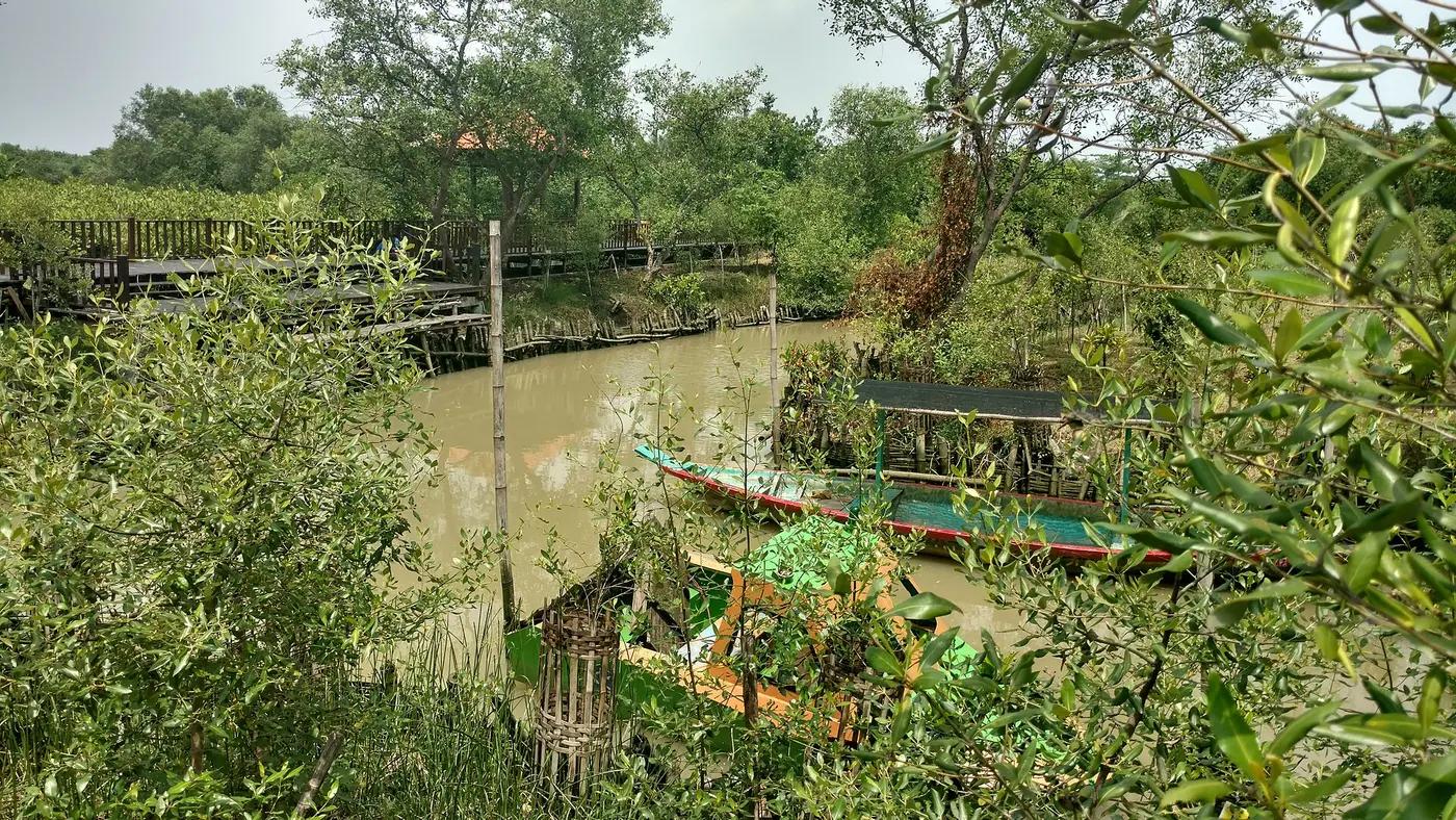 Mangrove channel at the Wonorejo ecotourism forest on Surabaya's east coast