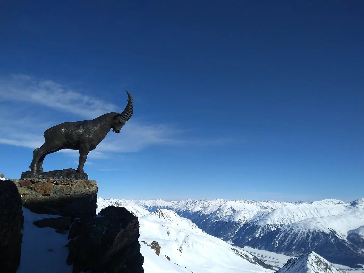 An Alpine ibex on a rocky ledge in the Swiss National Park, Engadin