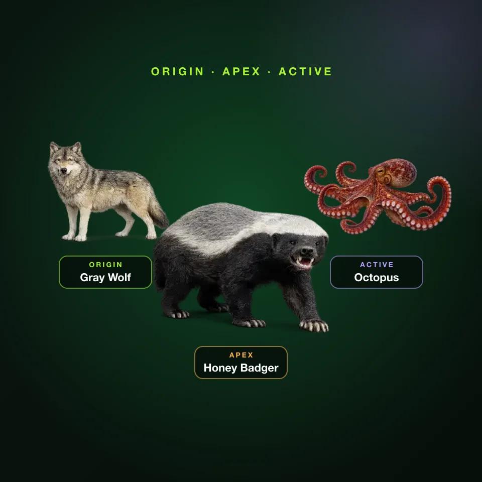Example animal personality test result: Gray Wolf as Origin, Honey Badger as Apex and Octopus as Active