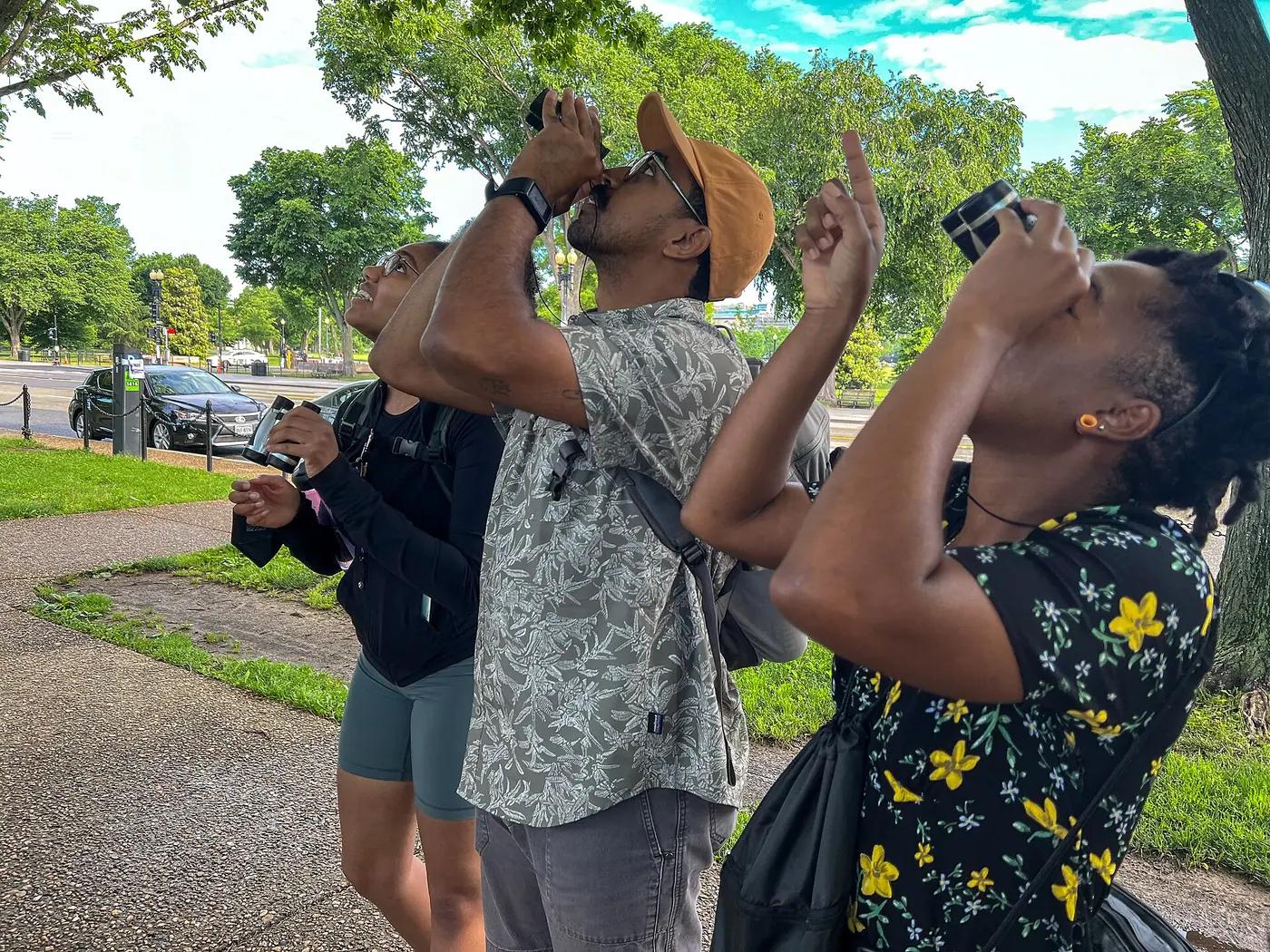 Group of birdwatchers looking up with binoculars