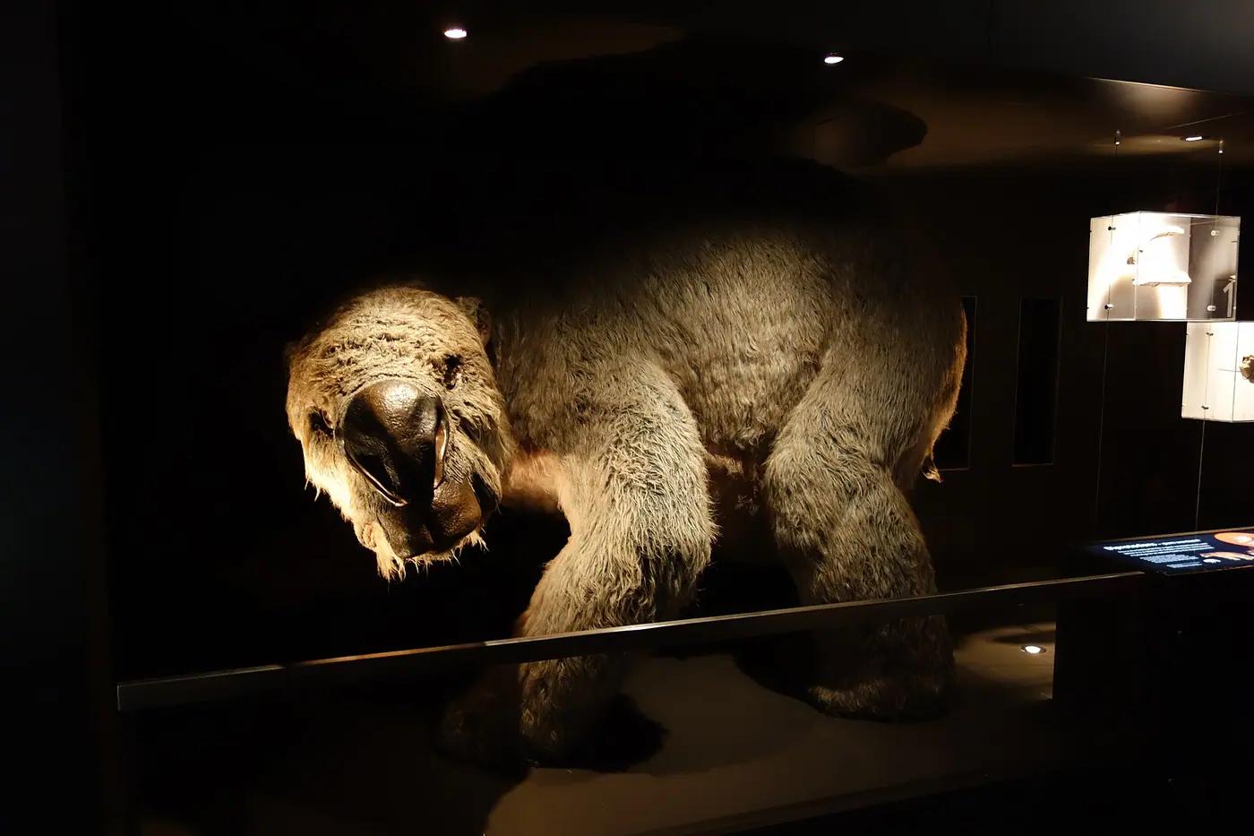 Life-size sculpture of the extinct Diprotodon
