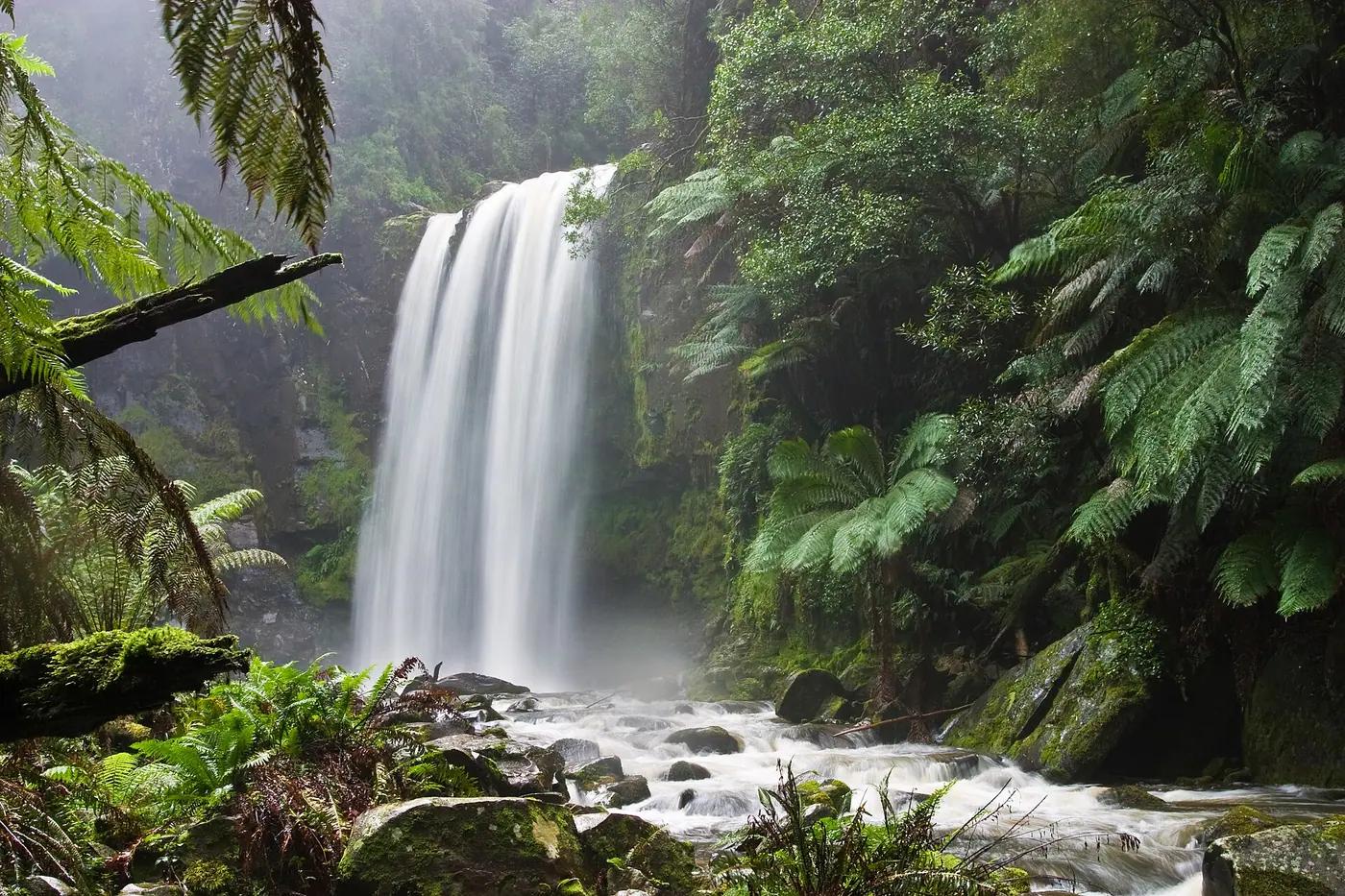 Hopetoun Falls surrounded by lush fern forest