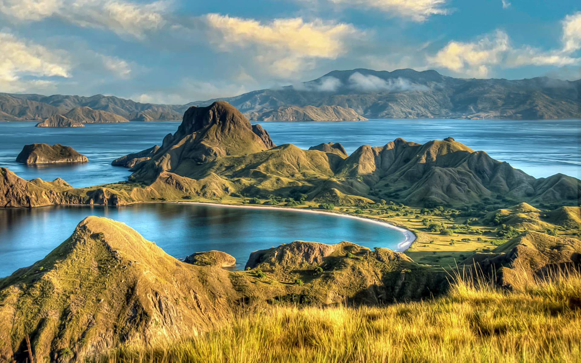 Komodo National Park featured image for the AnimalDex location guide