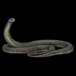 Black Mamba AnimalDex icon