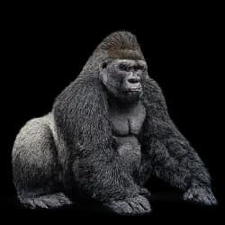 Gorilla AnimalDex icon