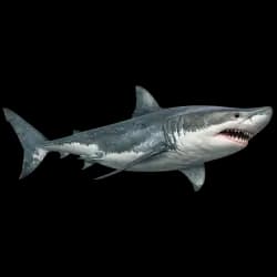 Great White Shark AnimalDex icon