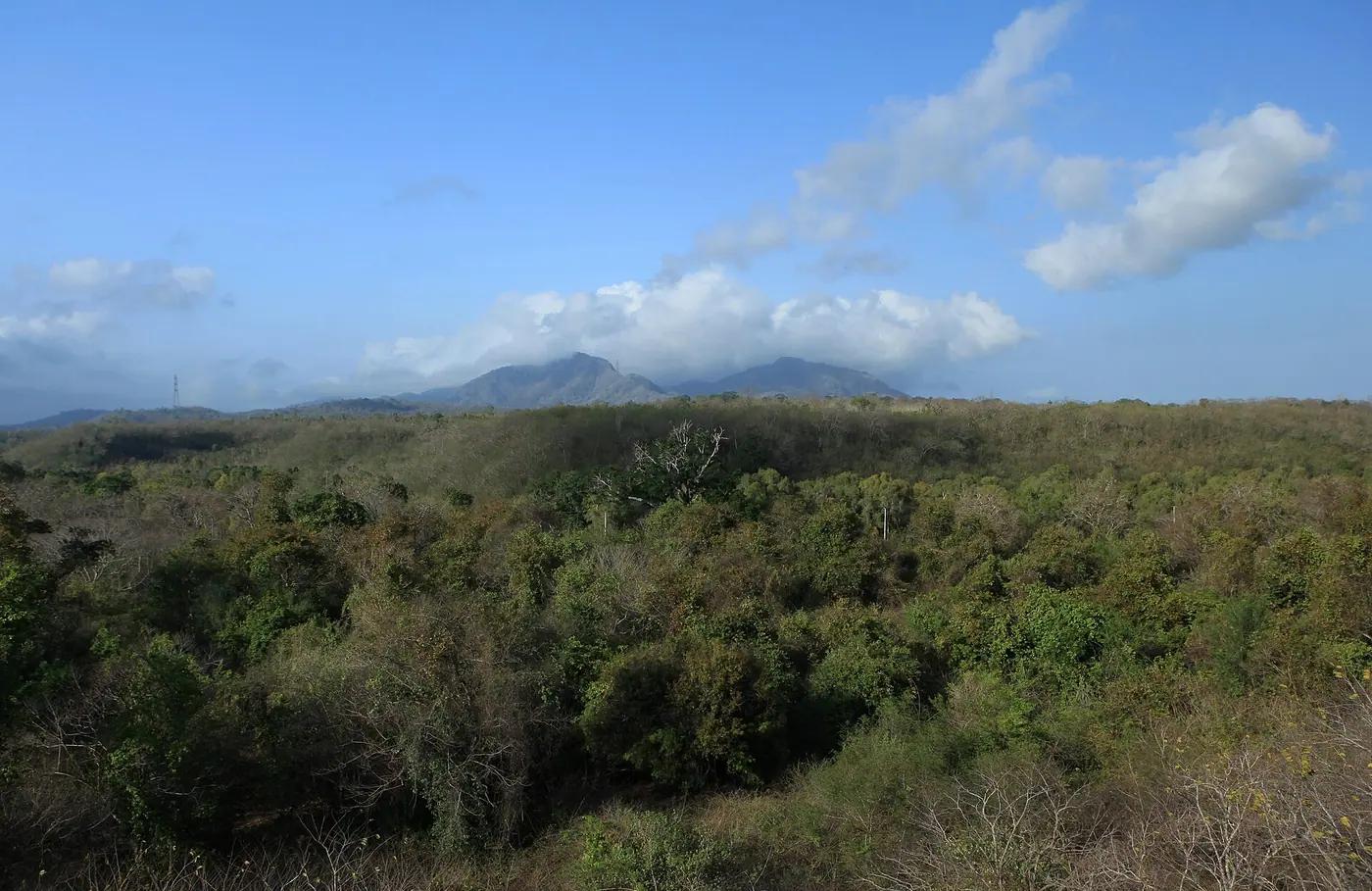 Forested hills of West Bali National Park