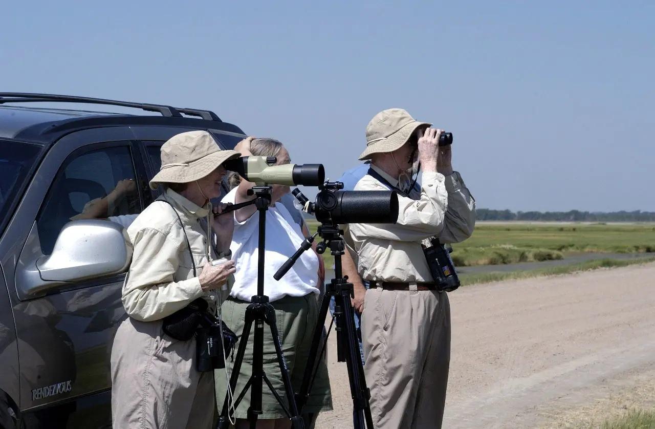 Three birders in sun hats scanning a wetland with binoculars and a spotting scope on a tripod
