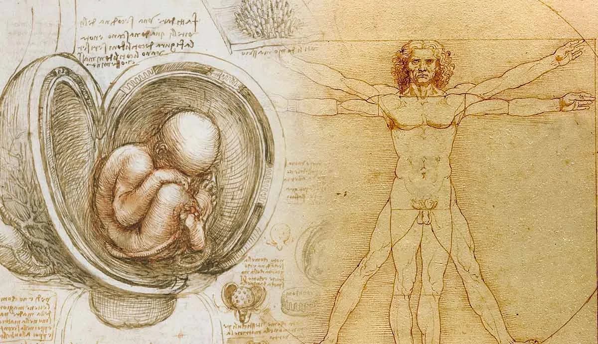 Leonardo da Vinci animal drawings showing the historical study of animal anatomy, movement, and symbolic meaning