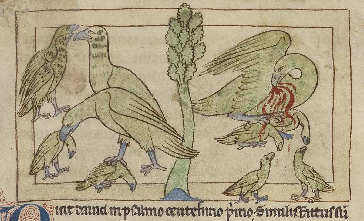 Medieval bestiary illustration of the pelican sacrifice myth, showing a mother pelican feeding her young in ancient symbolic animal art