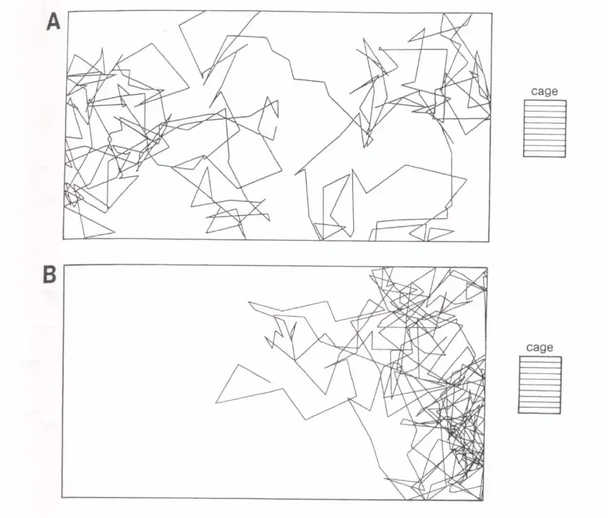 Diagram comparing Tychoscope robot movement before and after exposure to imprinted chicks in Rene Peoc'h's controversial experiment