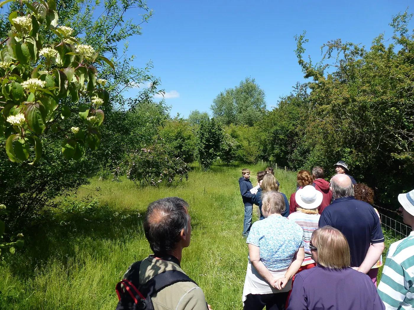 Visitors on a guided walk through a flower-rich nature reserve meadow