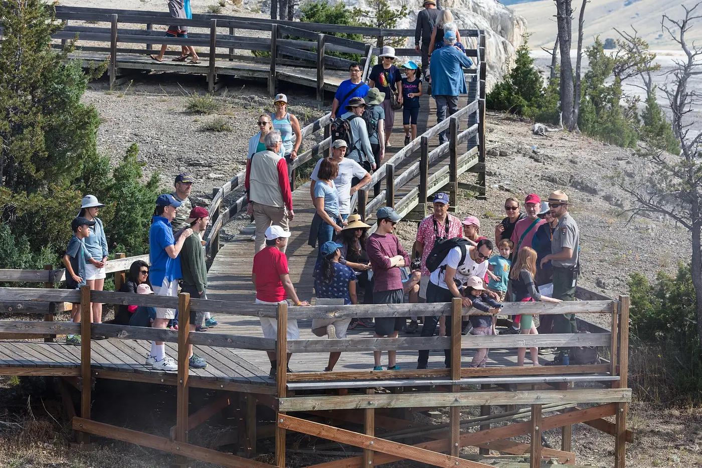 A park ranger leading a group of visitors along a boardwalk