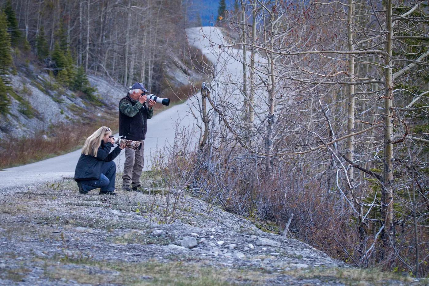 Two wildlife photographers with long telephoto lenses crouch at the edge of a gravel road beside bare aspens