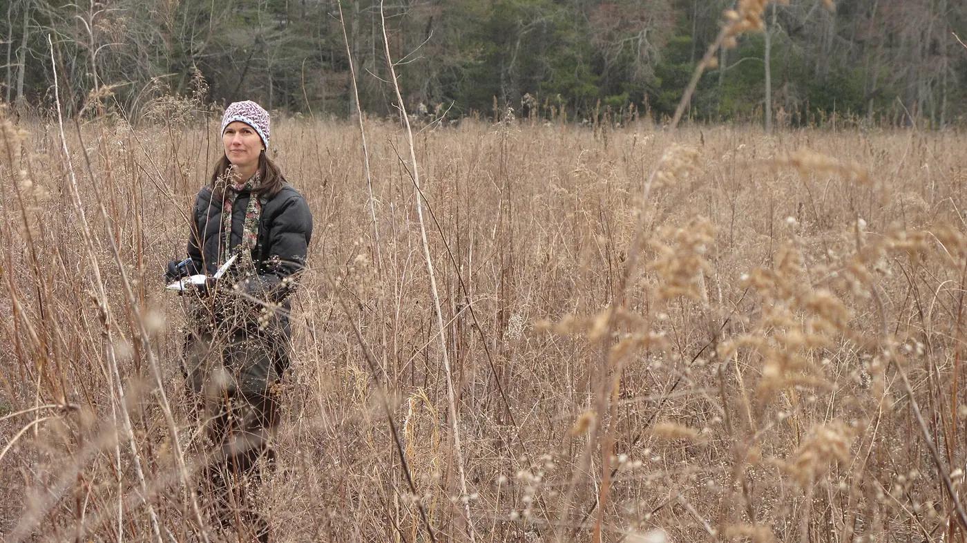 Biologist taking notes in a winter meadow