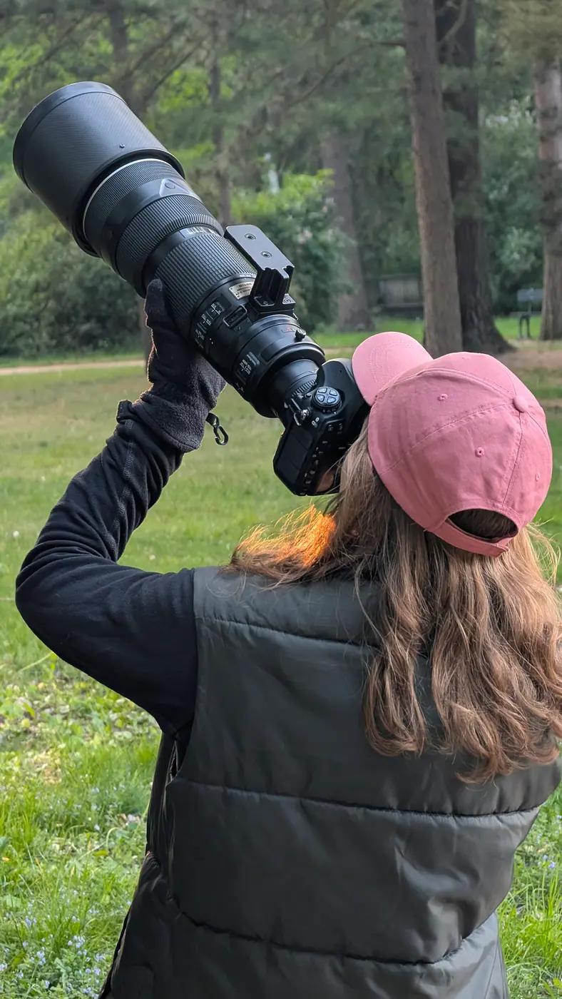 Wildlife photographer aiming a long telephoto lens into the trees of a park