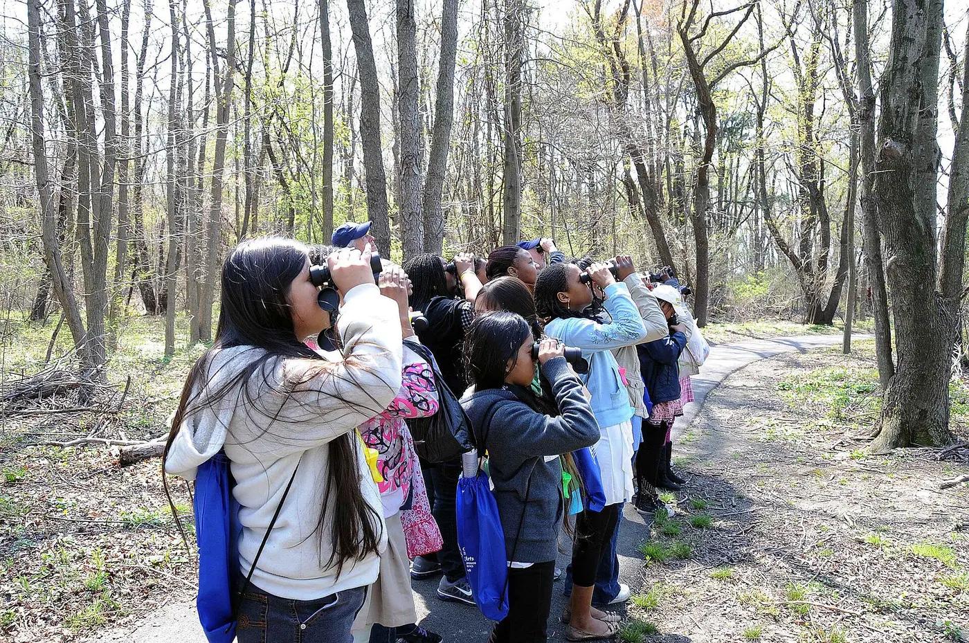 Children looking through binoculars on a woodland birdwatching walk