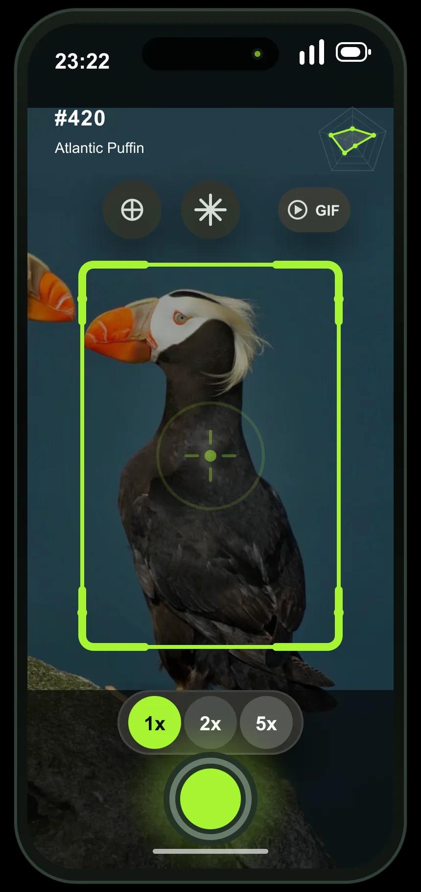 AnimalDex mobile app preview