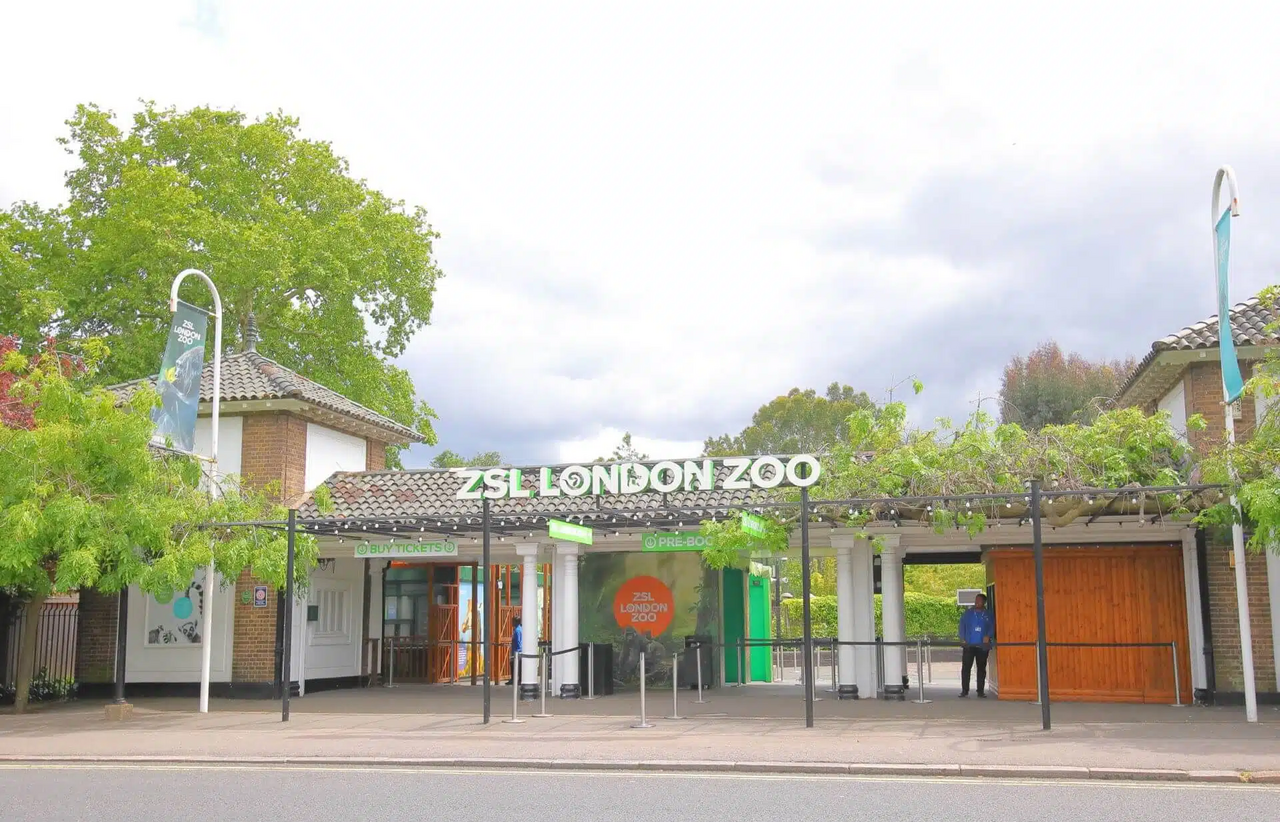 London Zoo entrance featured image for the AnimalDex location guide