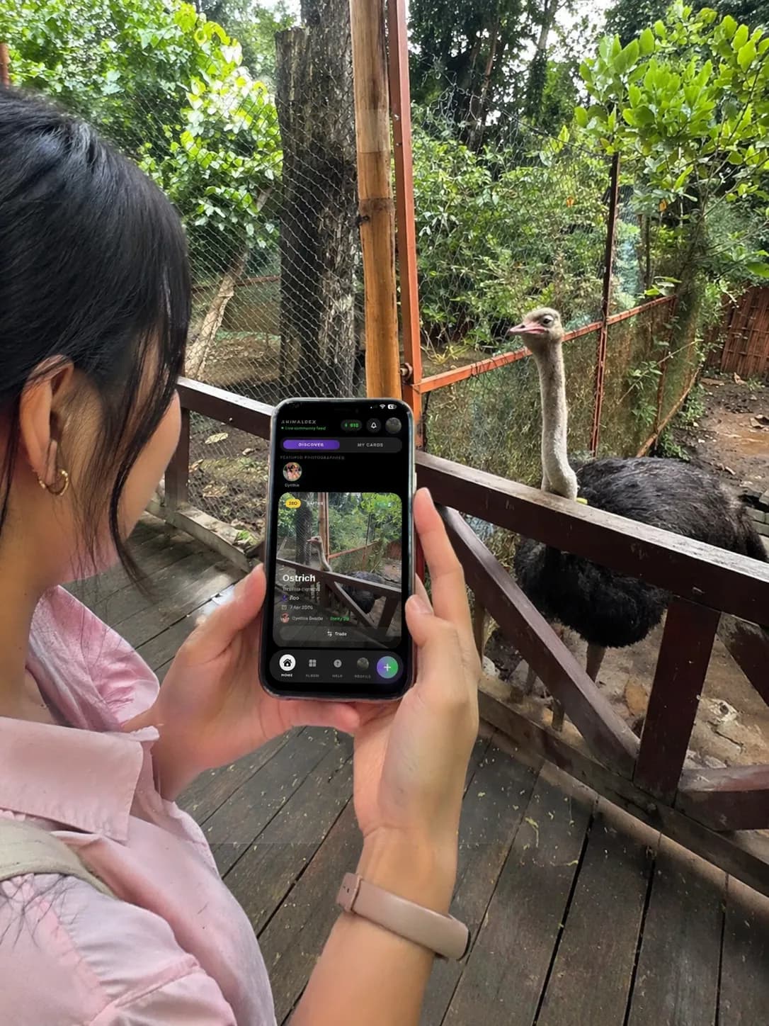 AnimalDex featured image for the article explaining what makes an animal rare