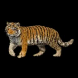 White Tiger AnimalDex icon