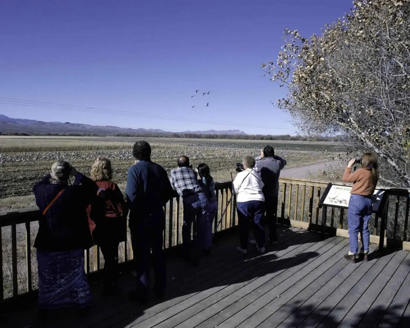 Birdwatchers on a deck using binoculars and cameras