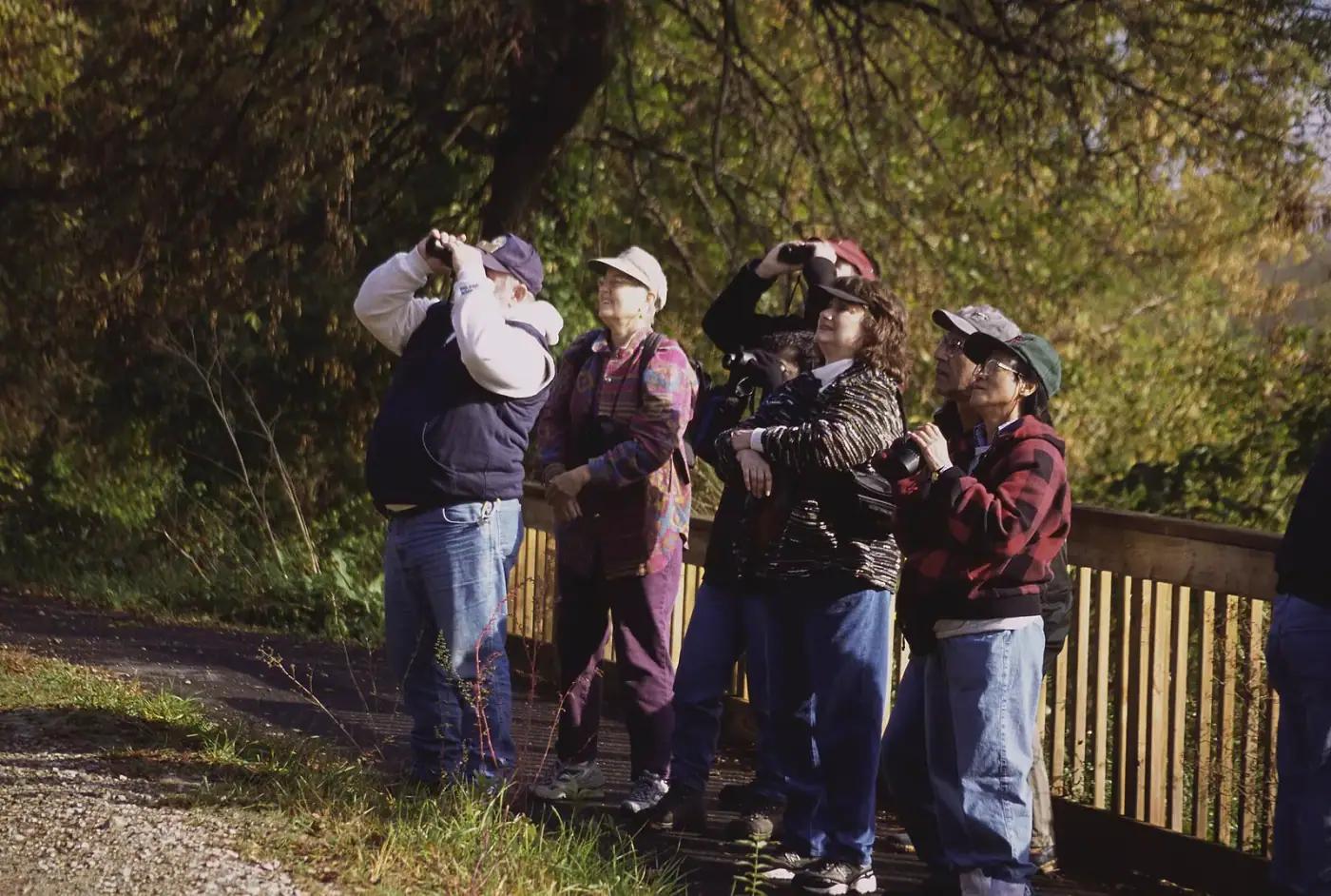 Birders with binoculars watching birds in the field