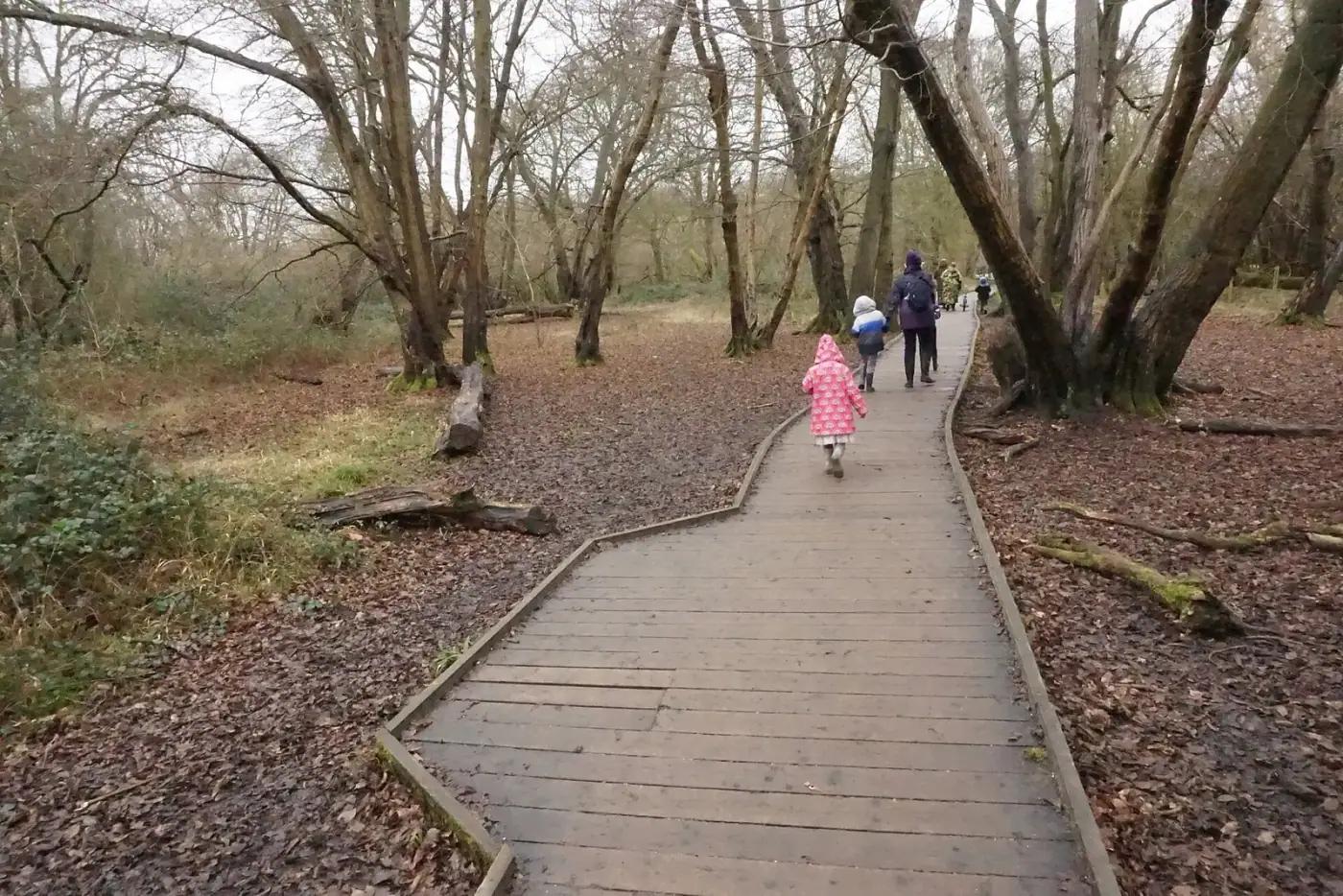 A boardwalk through Hatfield Forest