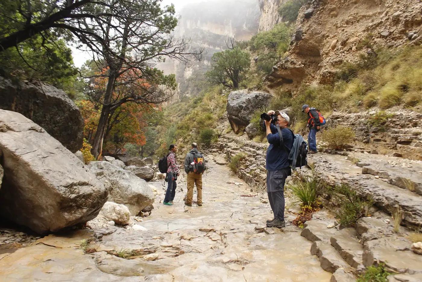 A guided group hiking in Guadalupe Mountains National Park