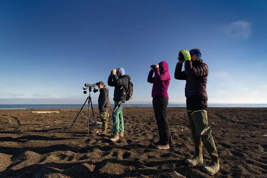 Birders watching Arctic seabirds