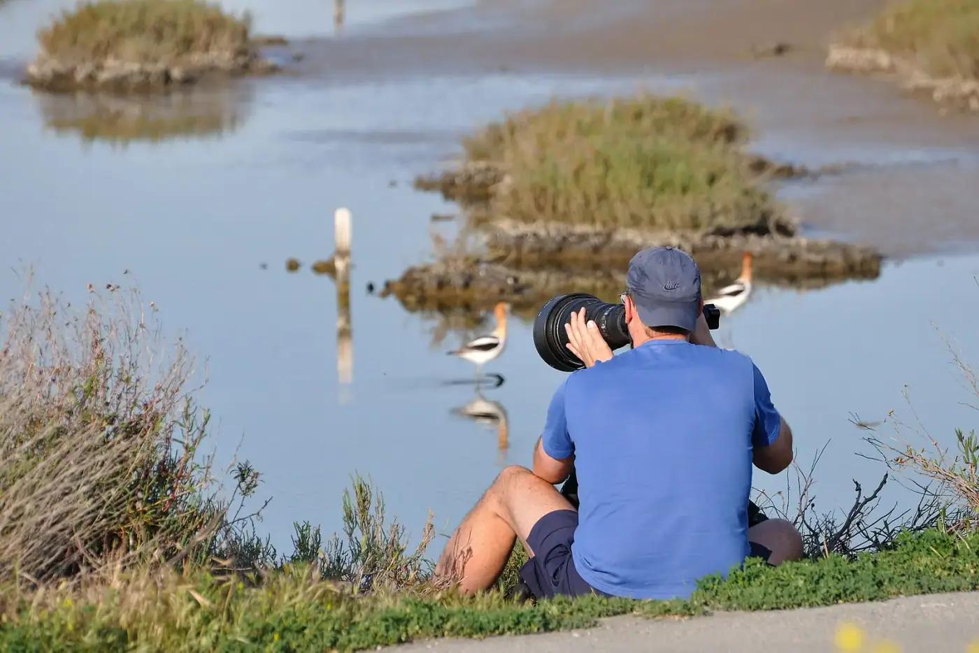 A bird photographer working at Palo Alto Baylands