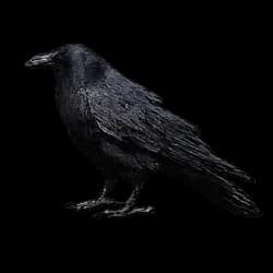 Crow AnimalDex icon