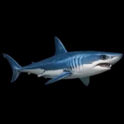 Shortfin Mako AnimalDex icon