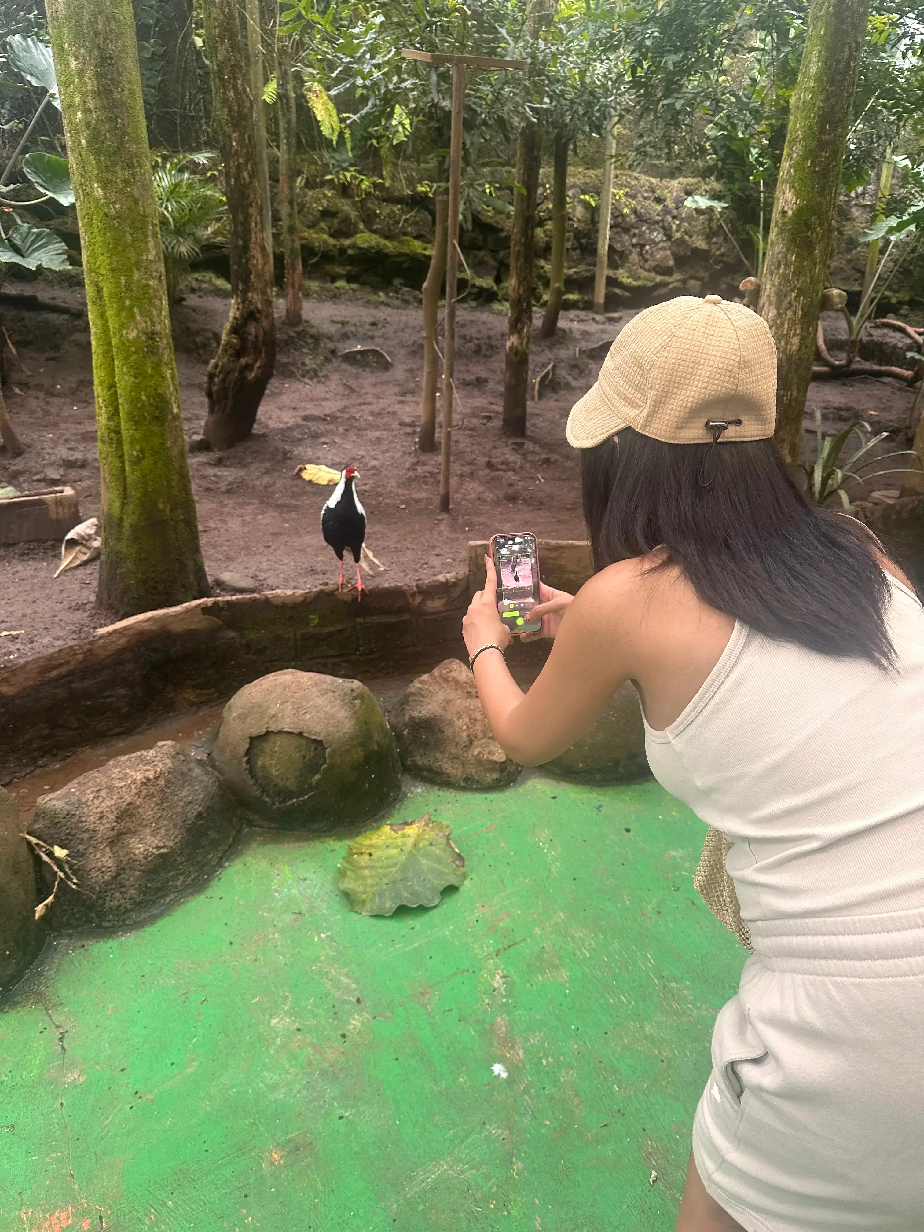 Wild animal collection image for a real-life Pokemon-style discovery article on AnimalDex