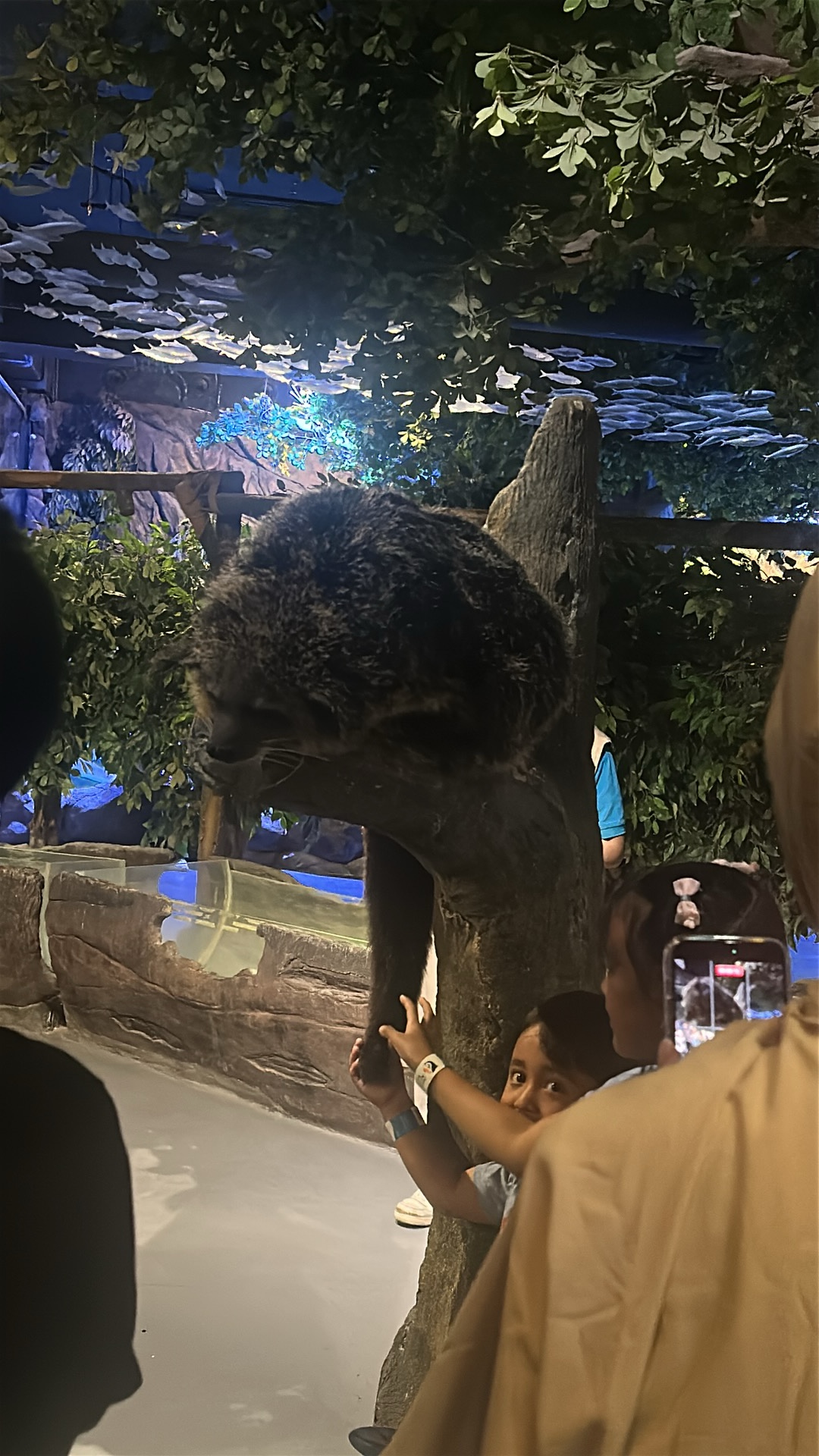 Binturong (Arctictis binturong) featured animal image on AnimalDex