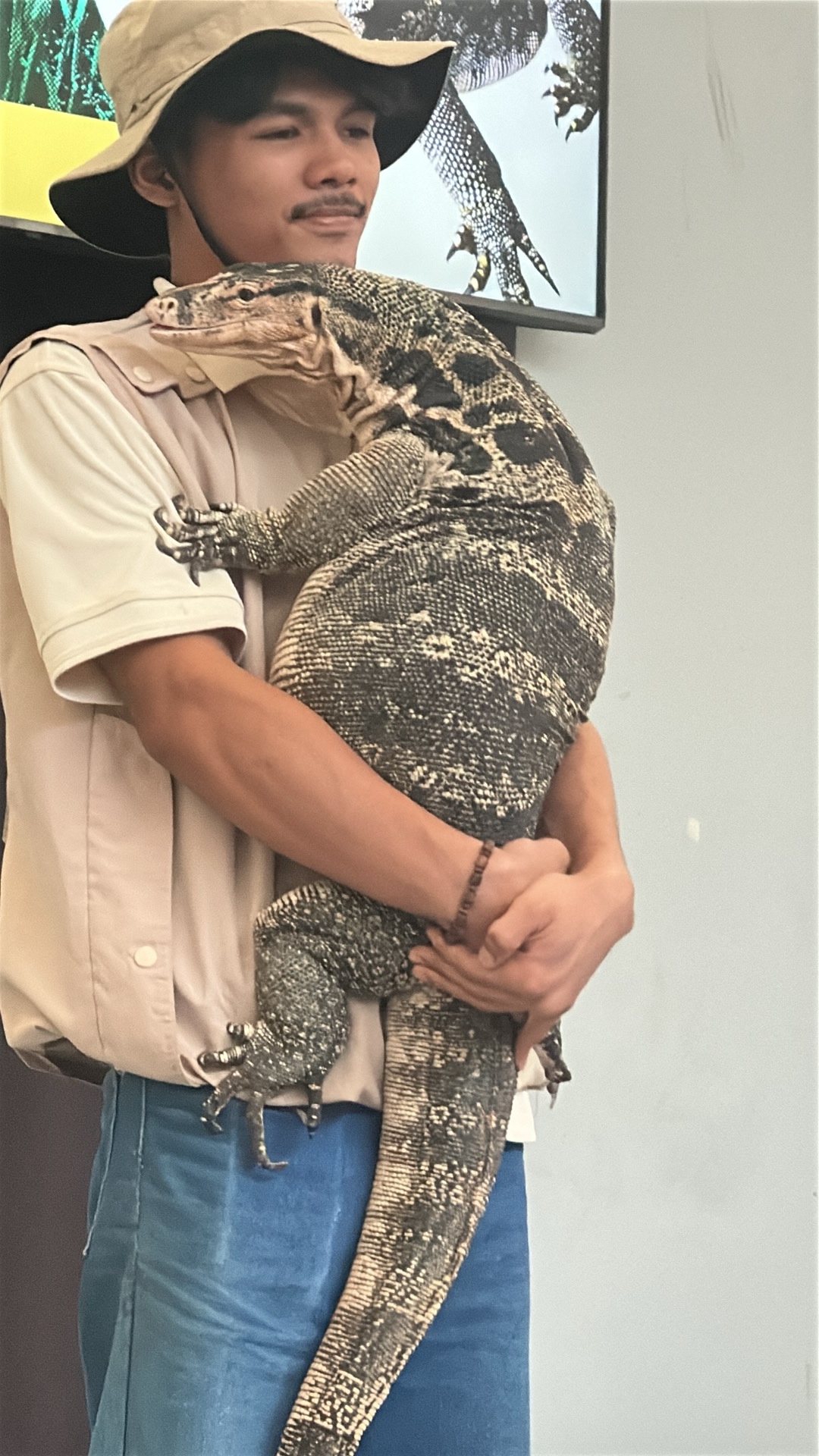 Water Monitor (Varanus salvator) featured animal image on AnimalDex